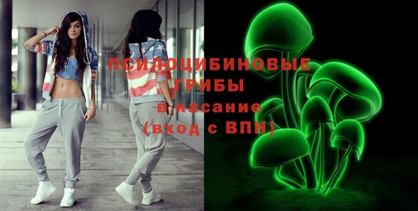 молекула духа Алексеевка
