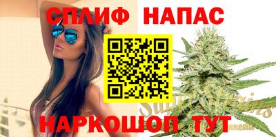 МДПВ Можга