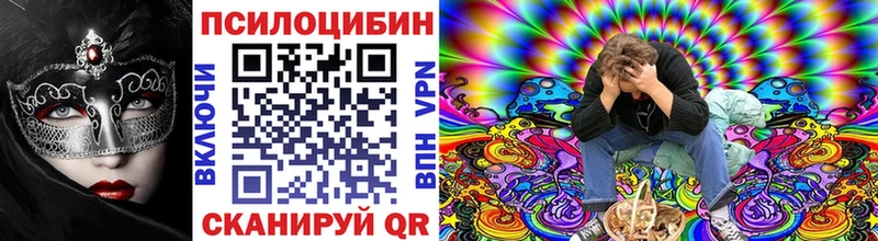 omg как зайти  где можно купить наркотик  Кинешма  Галлюциногенные грибы Cubensis 