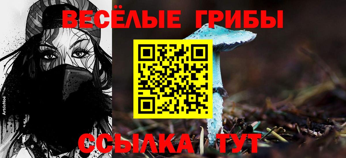 Кинешма  Галлюциногенные грибы MAGIC MUSHROOMS  Вход с VPN 