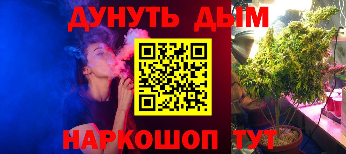 Бошки Шишки план Кинешма